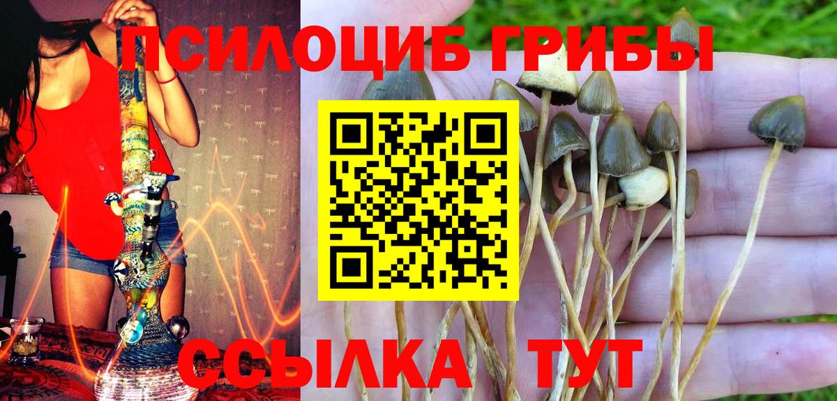 Галлюциногенные грибы Cubensis  Вход с VPN  Алушта 